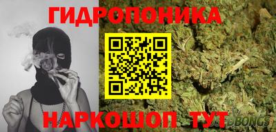 шишки Канаш