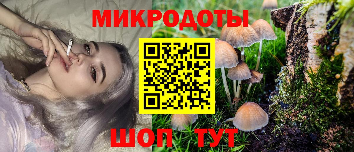Галлюциногенные грибы Psilocybine cubensis Кохма