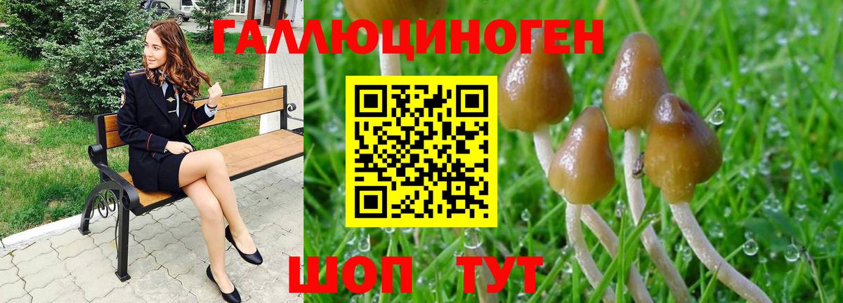 Галлюциногенные грибы мухоморы  Галлюциногенные грибы MAGIC MUSHROOMS  Кохма  Вход с VPN 